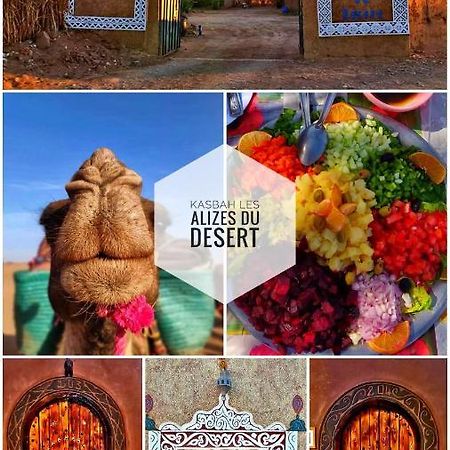 Kasbah Les Alizes Du Desert M'Hamid Bagian luar foto