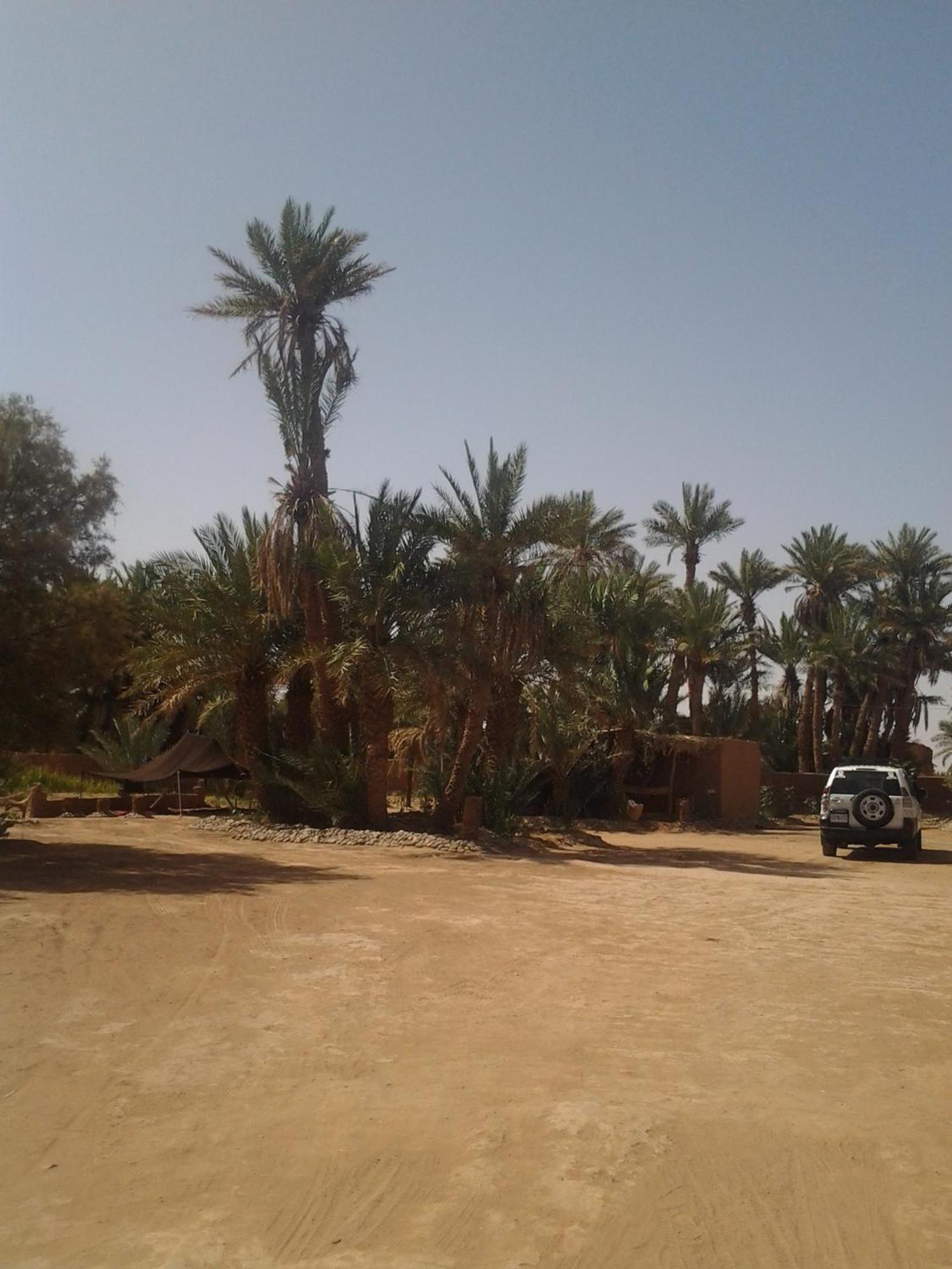 Kasbah Les Alizes Du Desert M'Hamid Bagian luar foto