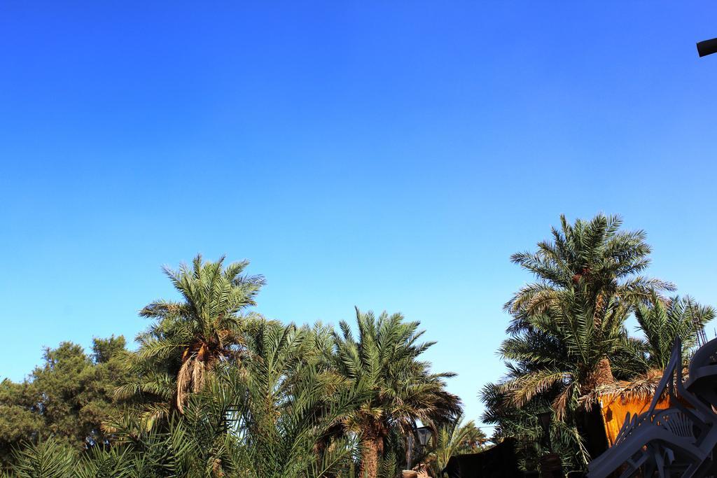 Kasbah Les Alizes Du Desert M'Hamid Bagian luar foto