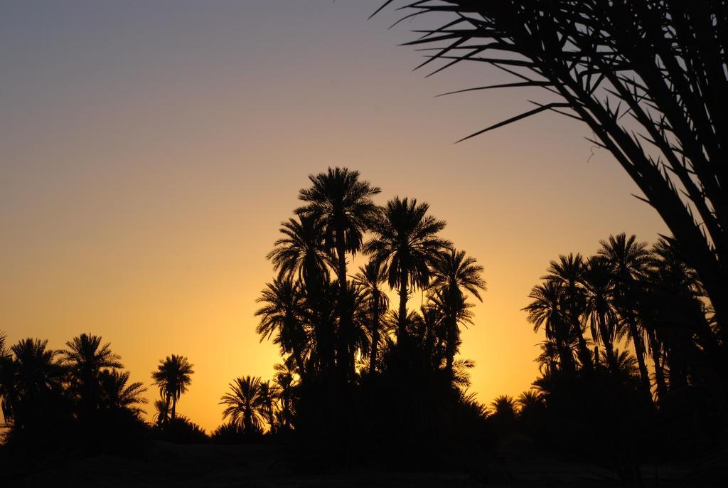 Kasbah Les Alizes Du Desert M'Hamid Bagian luar foto