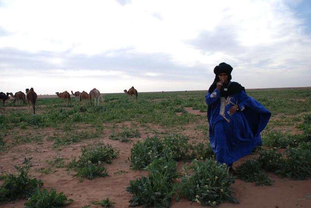 Kasbah Les Alizes Du Desert M'Hamid Bagian luar foto