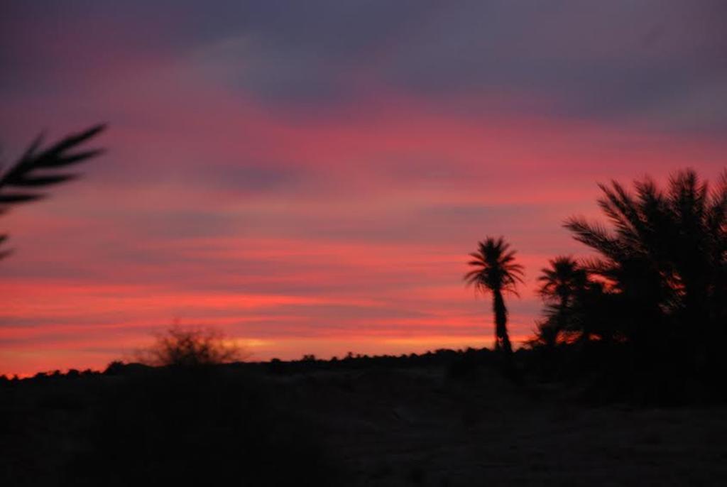 Kasbah Les Alizes Du Desert M'Hamid Bagian luar foto