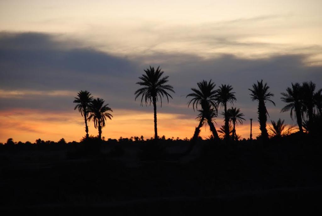 Kasbah Les Alizes Du Desert M'Hamid Bagian luar foto