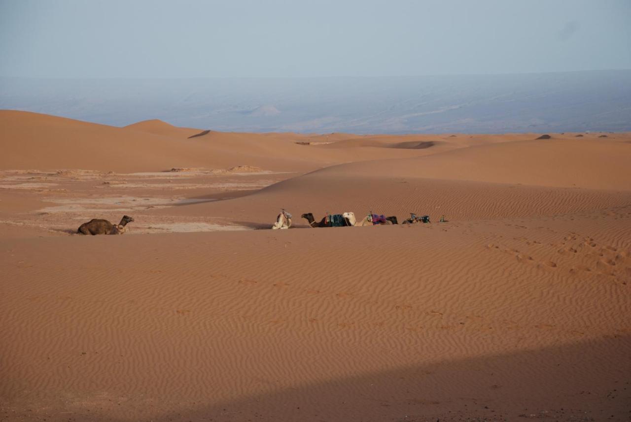 Kasbah Les Alizes Du Desert M'Hamid Bagian luar foto