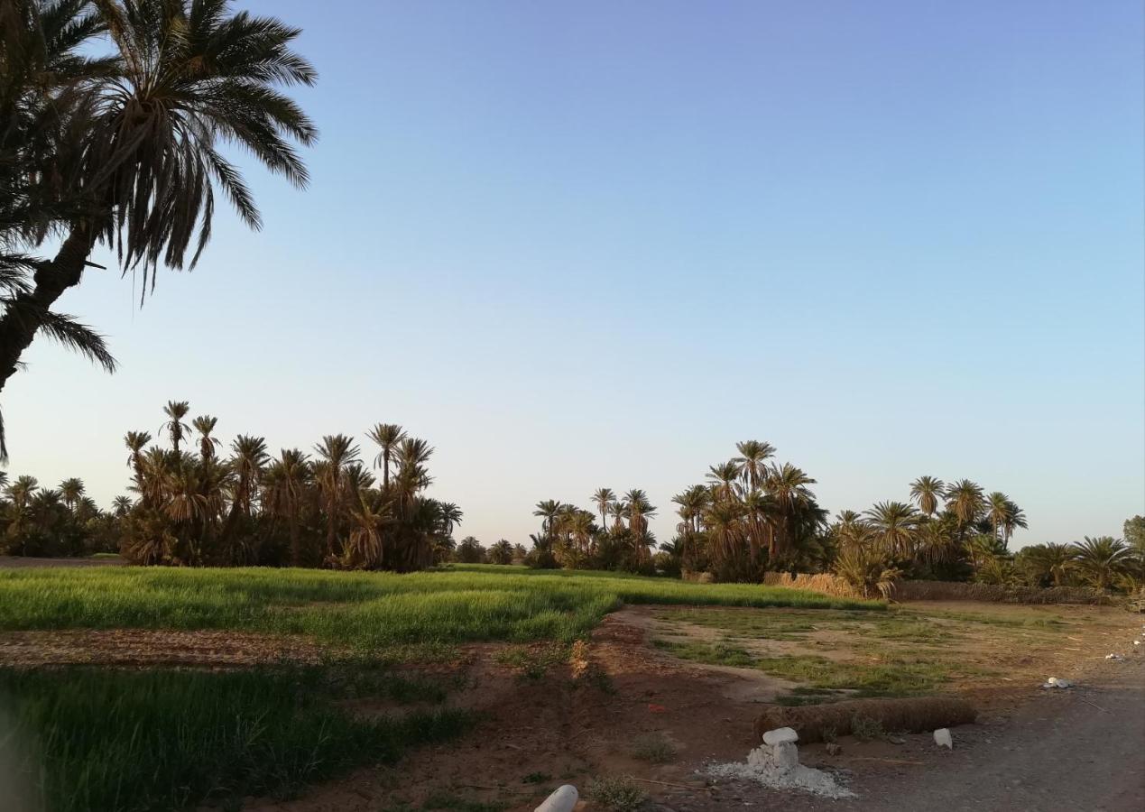 Kasbah Les Alizes Du Desert M'Hamid Bagian luar foto