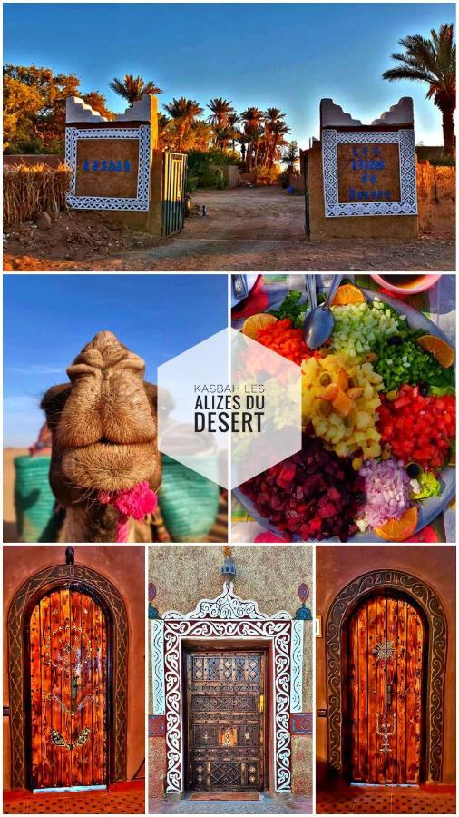 Kasbah Les Alizes Du Desert M'Hamid Bagian luar foto