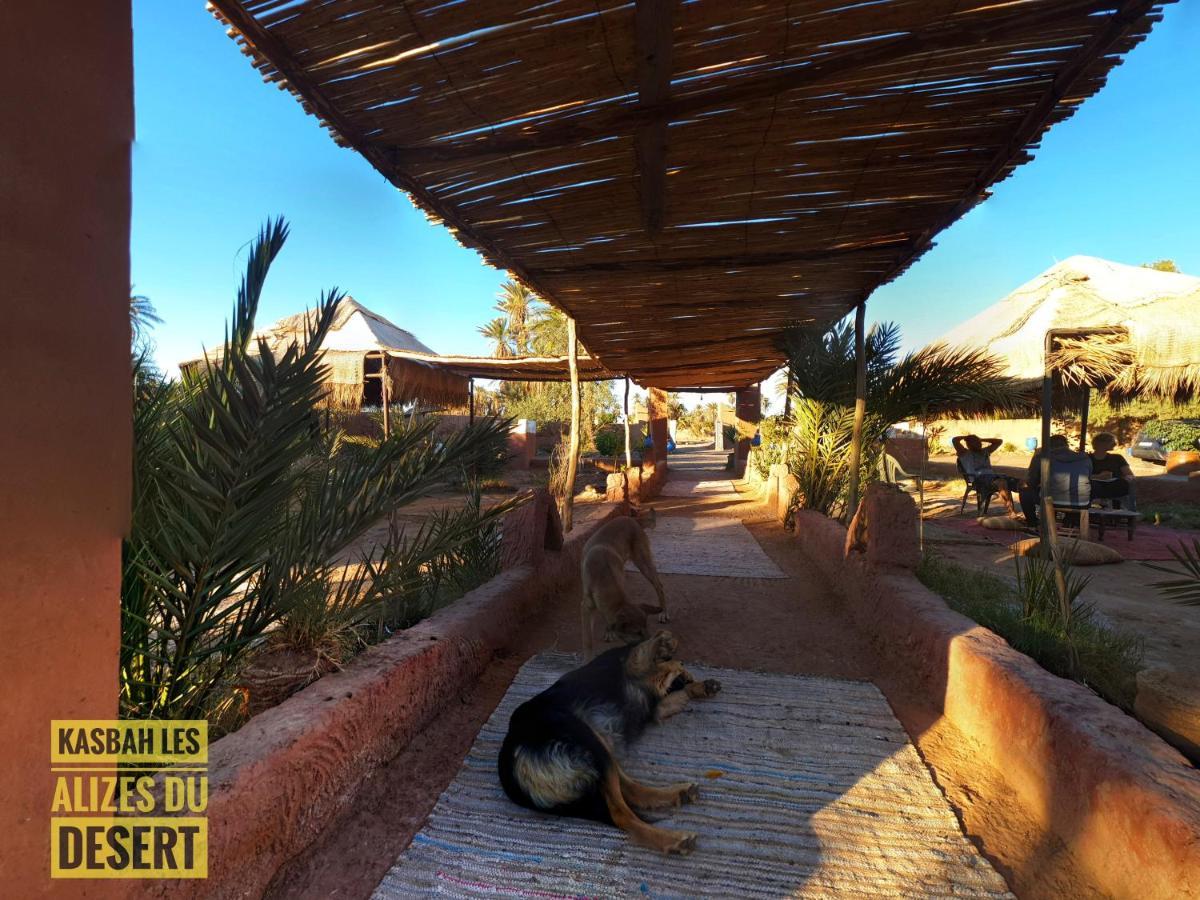 Kasbah Les Alizes Du Desert M'Hamid Bagian luar foto